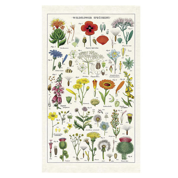 Wildflowers Tea Towel - City Bird 