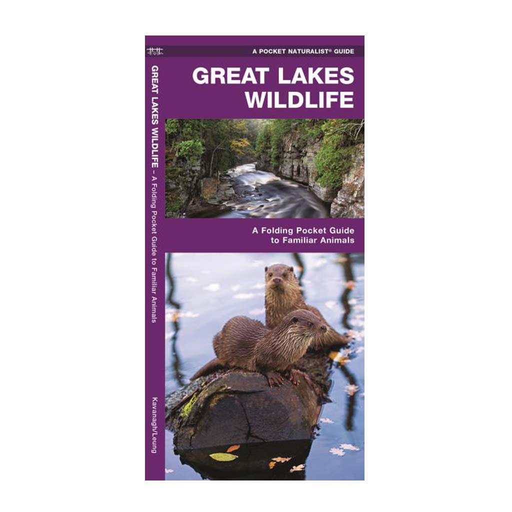Great Lakes Wildlife - A Folding Pocket Guide